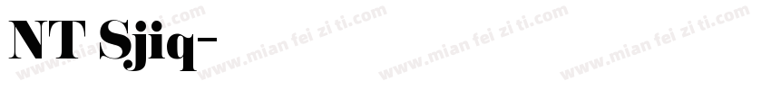 NT Sjiq字体转换